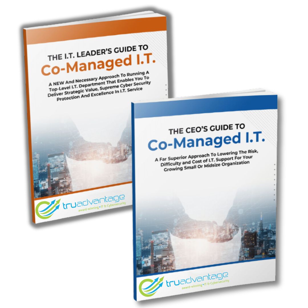 CEO's Guide to choosing Co-Managed IT